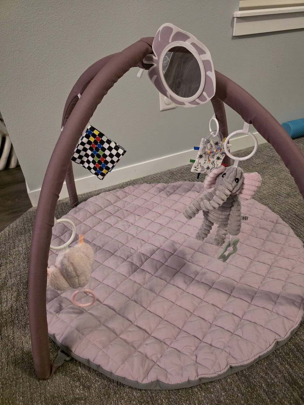 Blissful Diary Baby Play Gym Mat